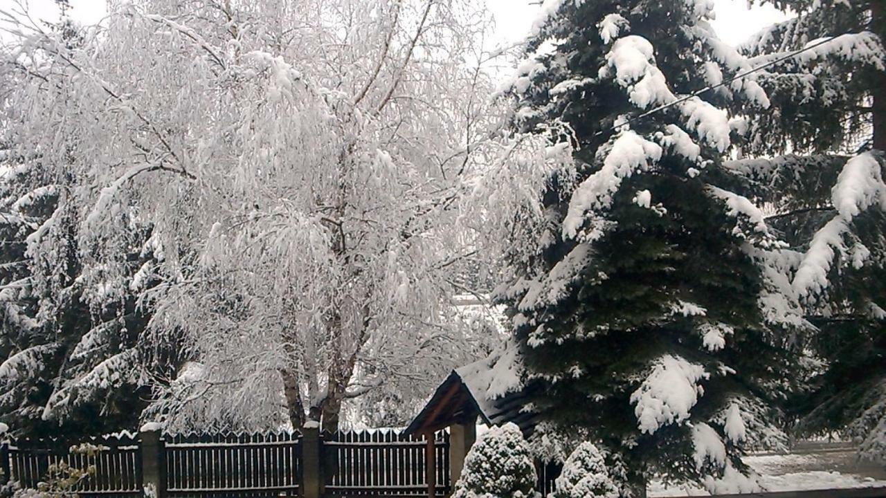 Pokoje Goscinne U Gochy Устшики Долне Екстериор снимка